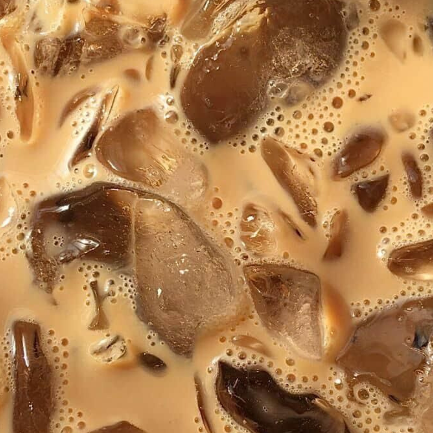 Cold Brew